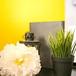 Monti Colosseum